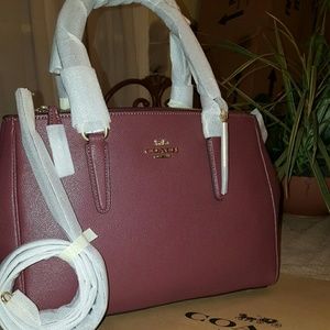 large surrey carryall